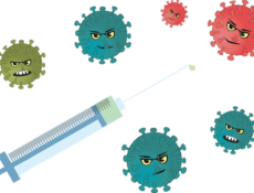 Influenza Vaccination in Japan