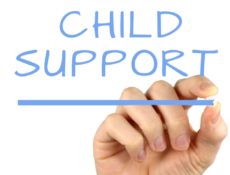 Child support in Japan